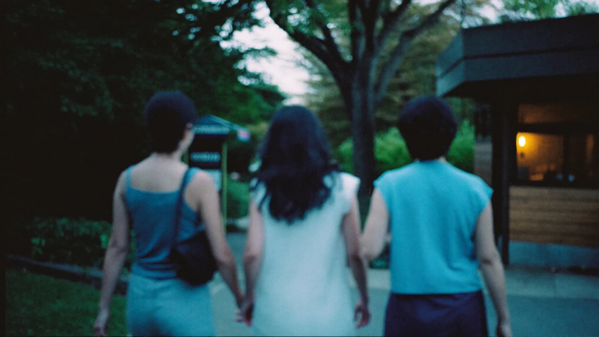 Three friends walking hand in hand at dusk, seen from behind